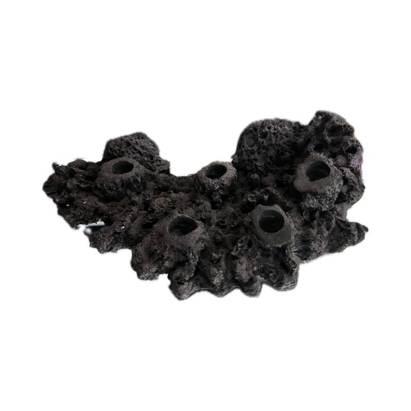 5 Hole Shelf Acropora Frag Rock MAGNETIC for Live coral plug ons - Image 4