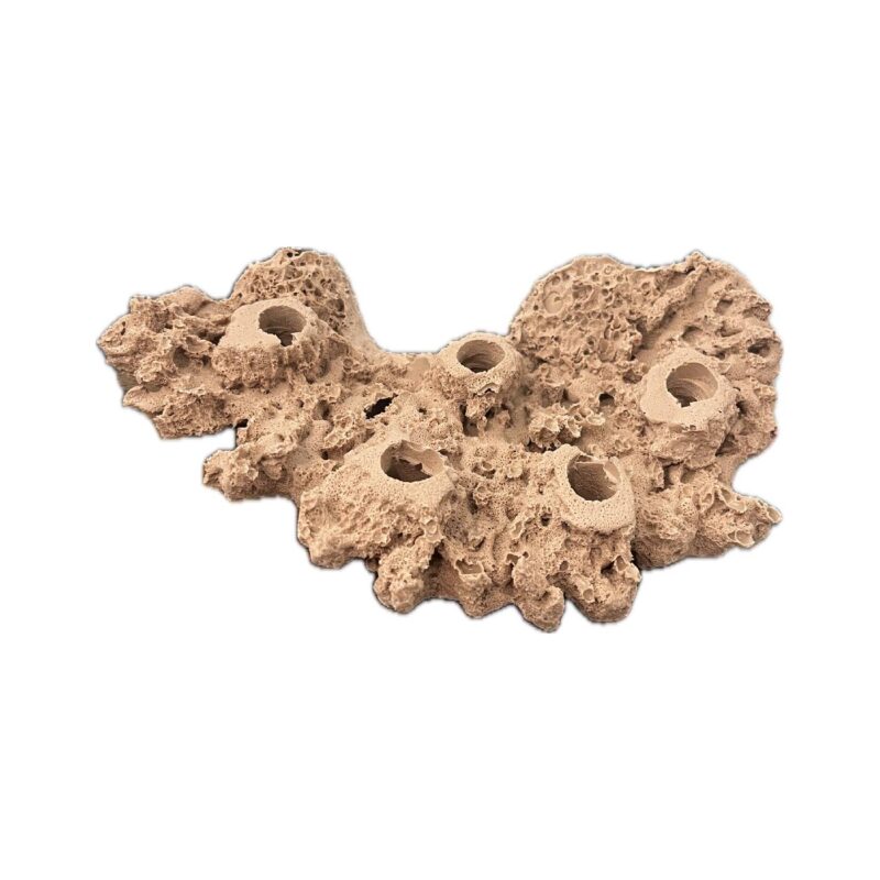 5 Hole Shelf Acropora Frag Rock MAGNETIC for Live coral plug ons - Image 3