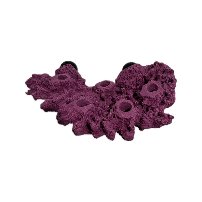 5 Hole Shelf Acropora Frag Rock MAGNETIC for Live coral plug ons