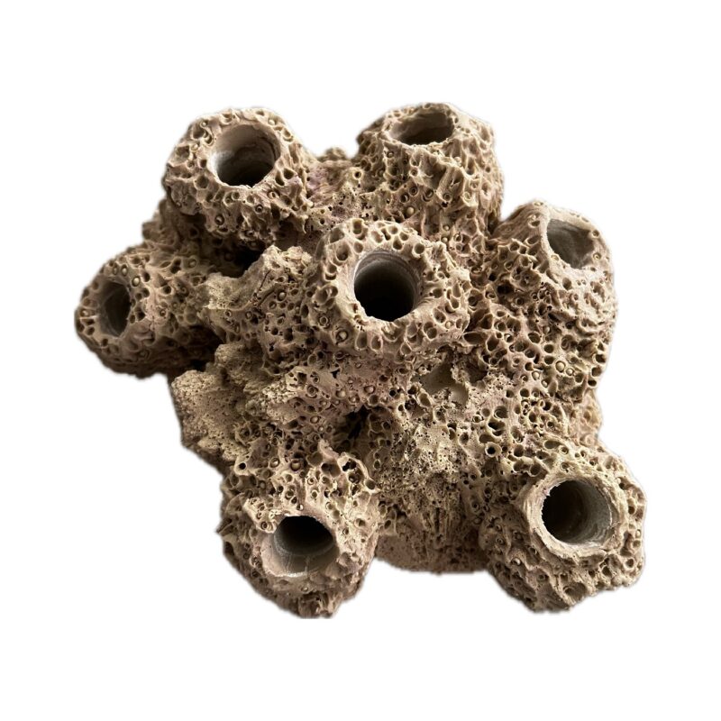 7 Hole Sandbed Barnacle Cave/Critter hideout Frag Rock for live coral plug ons - Image 9