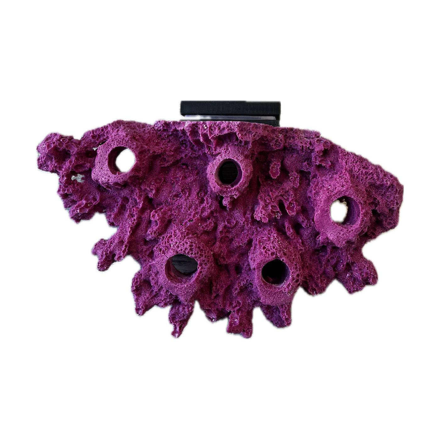 5 Hole Frag Rock/Magnetic Acropora Coral Frag Plug Shelf for Live Reef Tank - Image 8