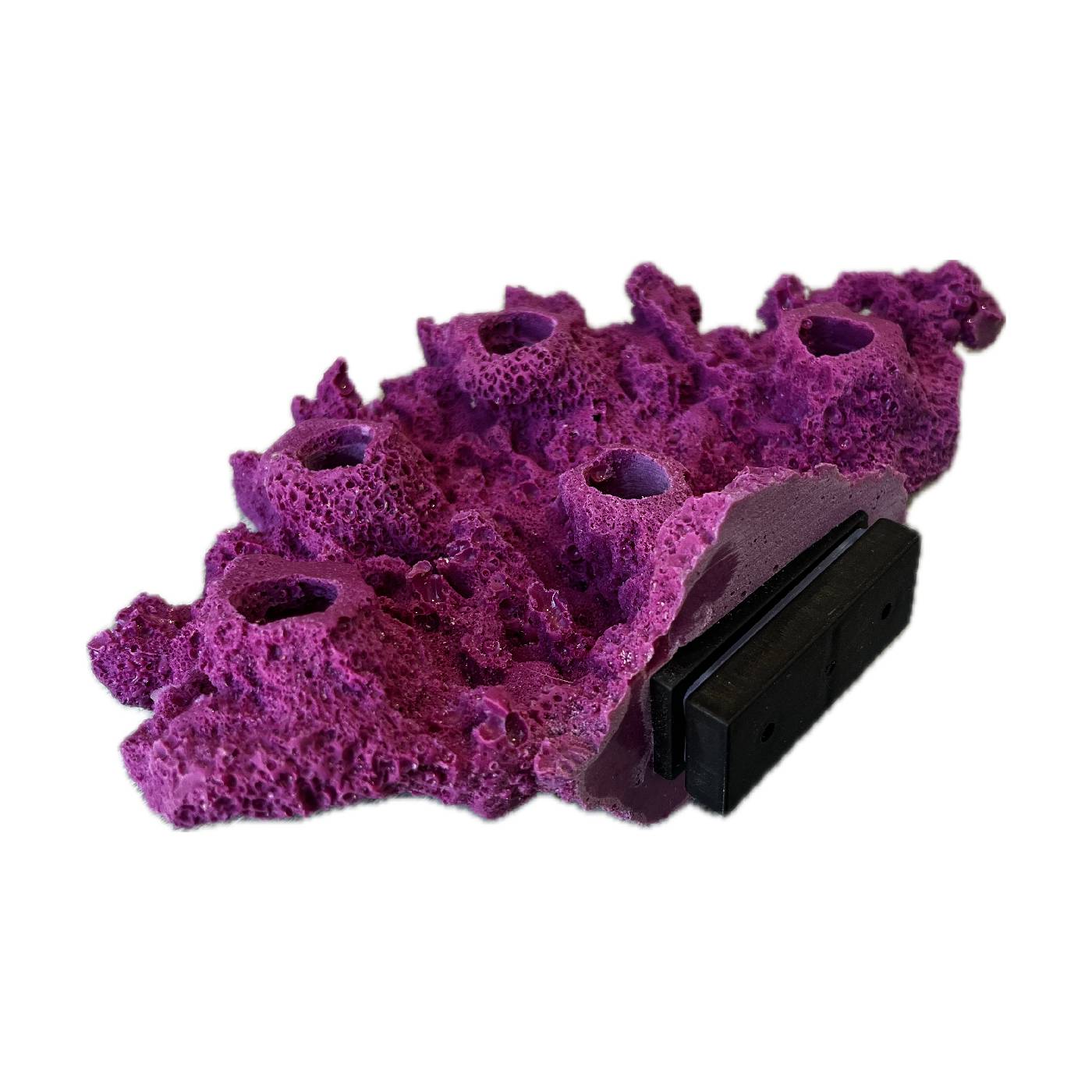 5 Hole Frag Rock/Magnetic Acropora Coral Frag Plug Shelf for Live Reef Tank