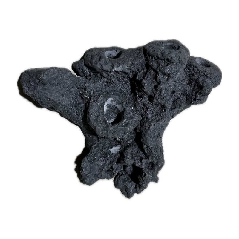 5 Hole Coral Frag Rock MAGNETIC - Image 2