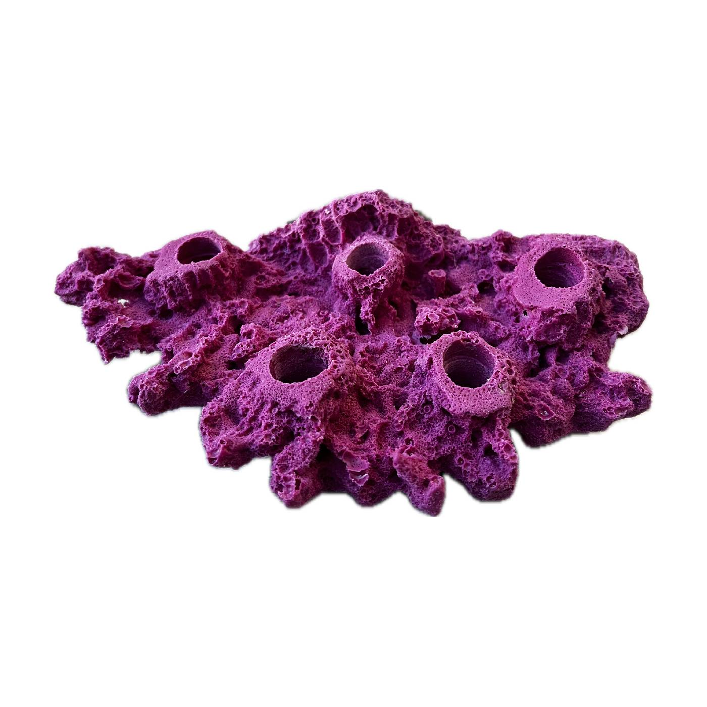 5 Hole Frag Rock/Magnetic Acropora Coral Frag Plug Shelf for Live Reef Tank - Image 5