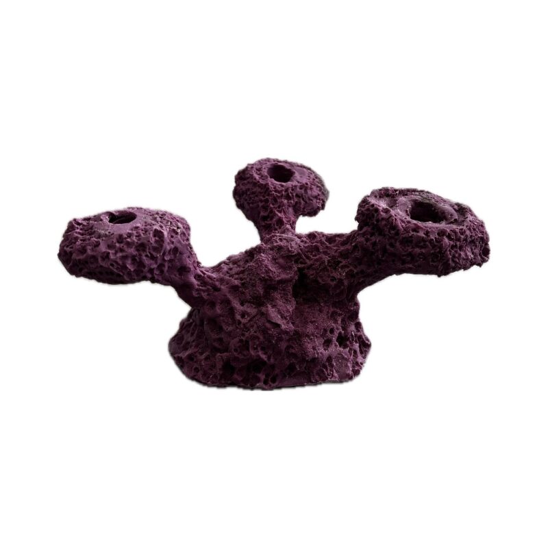 4 Hole Sandbed Tripod Frag Rock