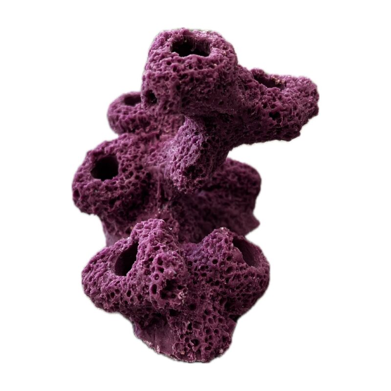 7 Hole Sandbed Torch Tower Frag Rock - Image 3