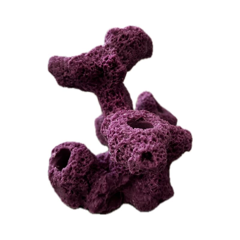 7 Hole Sandbed Torch Tower Frag Rock - Image 4