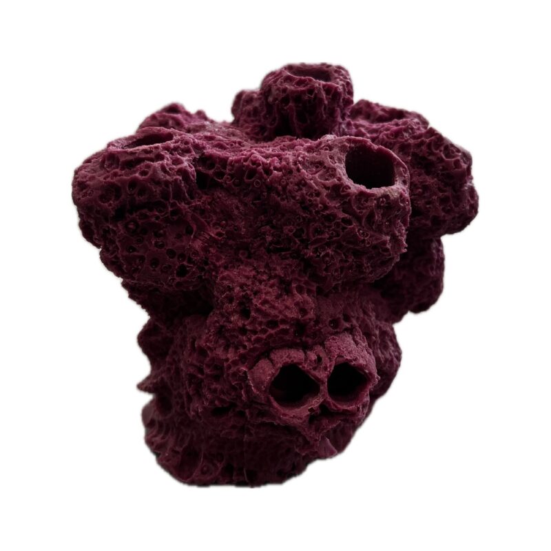 7 Hole Sandbed Barnacle Cave/Critter hideout Frag Rock for live coral plug ons - Image 5