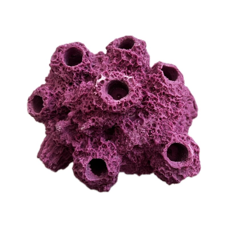 7 Hole Sandbed Barnacle Cave/Critter hideout Frag Rock for live coral plug ons - Image 4