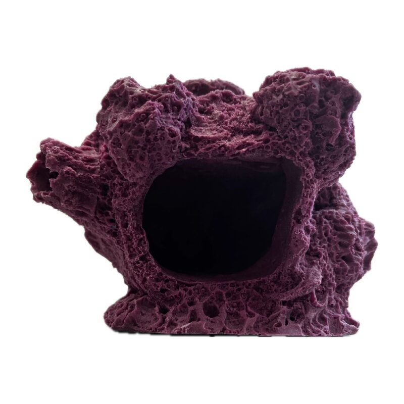 7 Hole Sandbed Barnacle Cave/Critter hideout Frag Rock for live coral plug ons