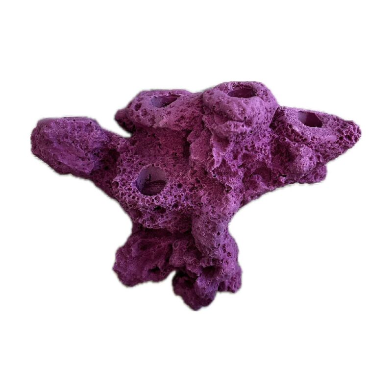 5 Hole Coral Frag Rock MAGNETIC for Live coral plug ons