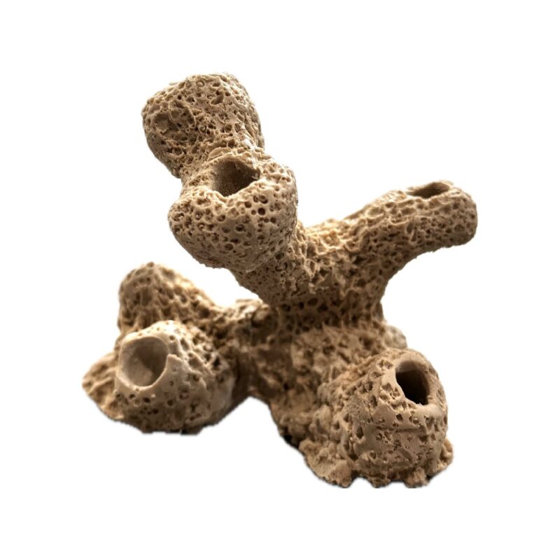7 Hole Sandbed Torch Tower Frag Rock - Image 4