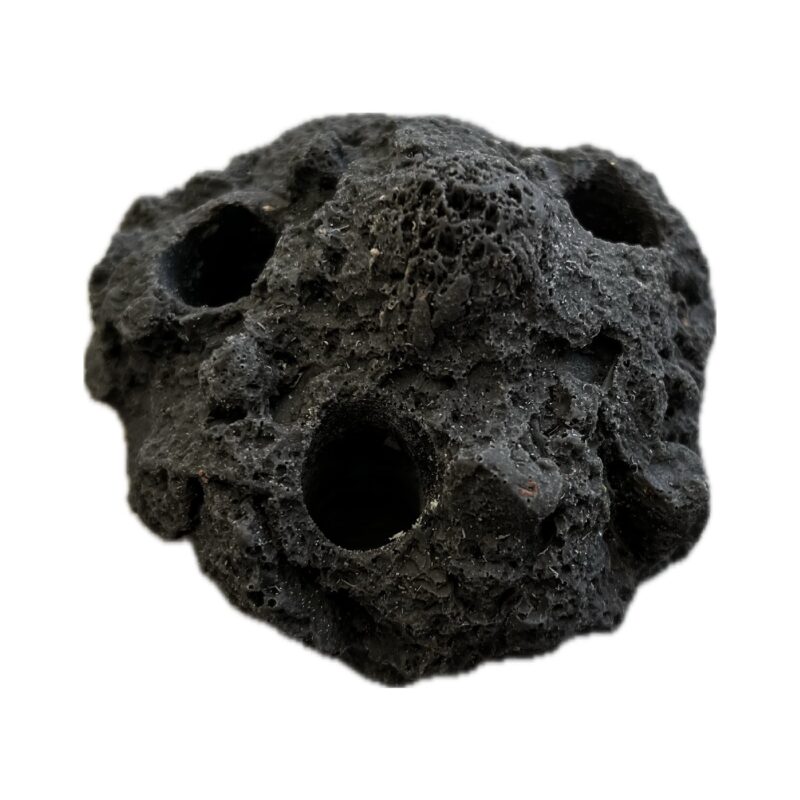 SANDBED 3 Hole Coral Frag Rock for Live Coral - Image 2