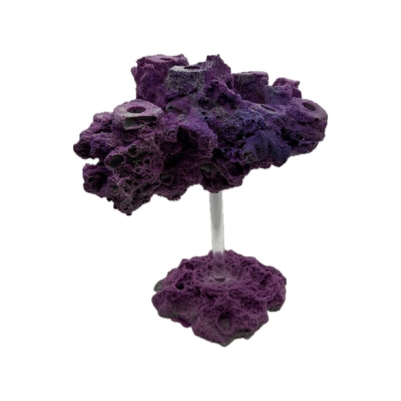 Lg. Rock "Floating Look" Island Frag Rock w/ Added Base