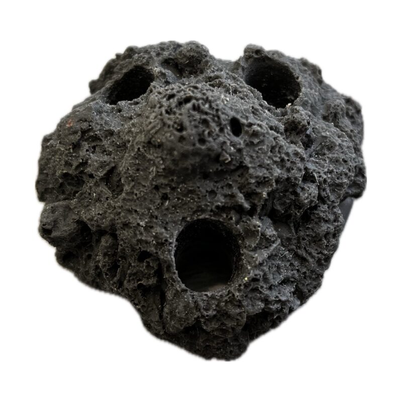 SANDBED 3 Hole Coral Frag Rock for Live Coral - Image 2