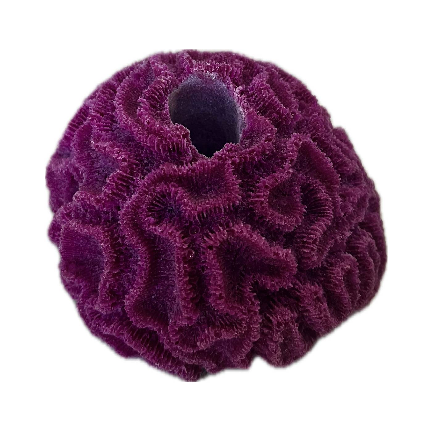 1-Hole Brain Coral Frag Rock/ Rack for Live Coral