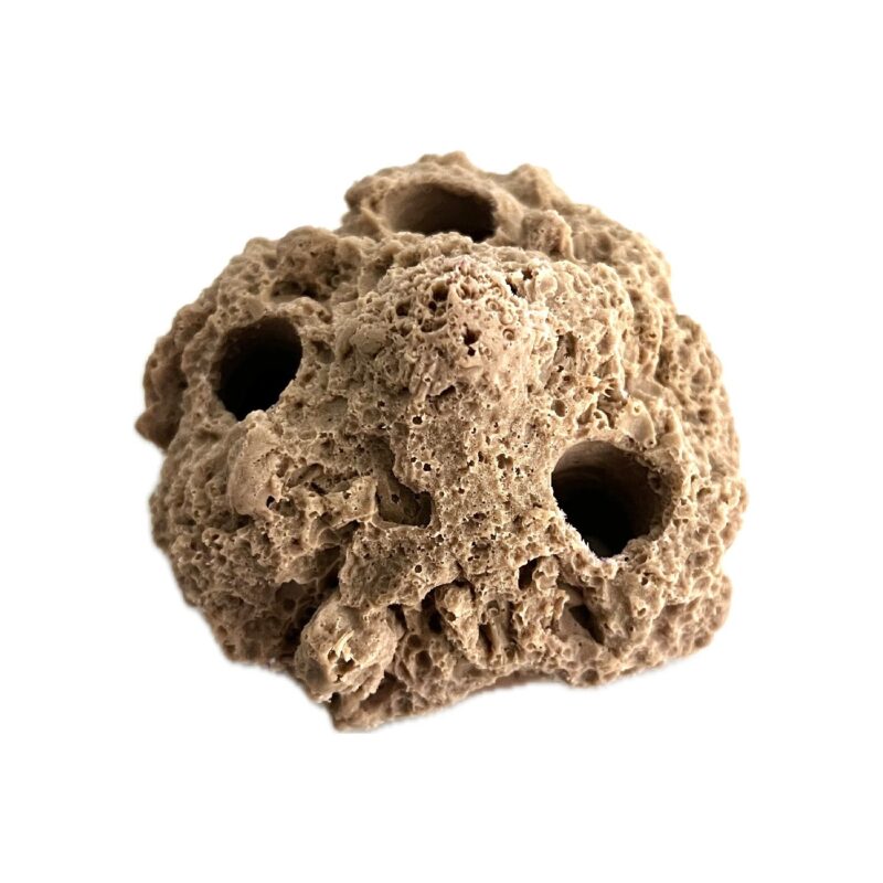 SANDBED 3 Hole Coral Frag Rock for Live Coral - Image 3
