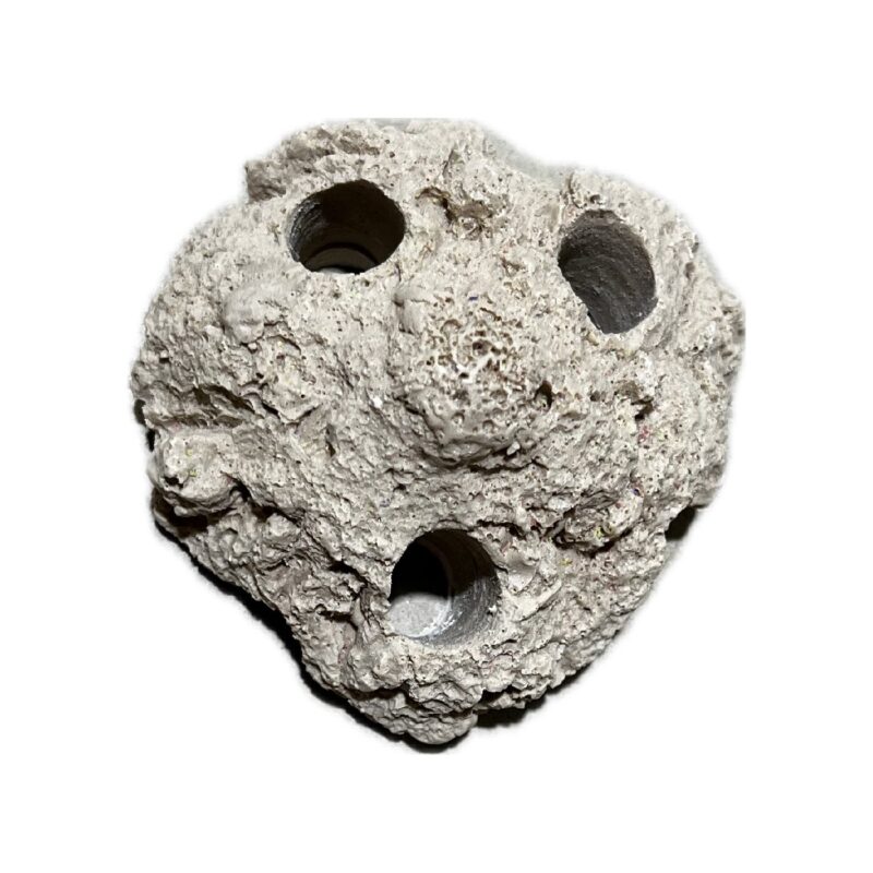 SANDBED 3 Hole Coral Frag Rock for Live Coral - Image 3