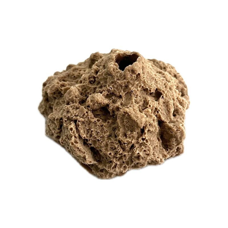 SANDBED 1 Hole Frag Rack/Rock Base for Live Coral Plug Ons - Image 4