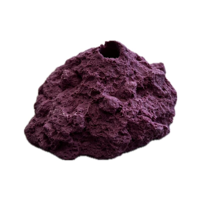 SANDBED 1 Hole Frag Rack/Rock Base for Live Coral Plug Ons - Image 4