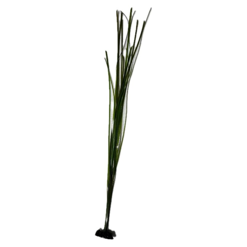Artificial Eelgrass on rock base for Aquariums and Aquascaping (2 Size Options) great for seahorses!! - Image 3
