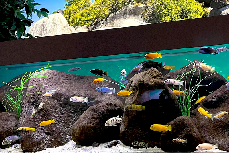 Artificial Surfgrass for Aquariums and Aquascaping (2 Size Options) - Image 4