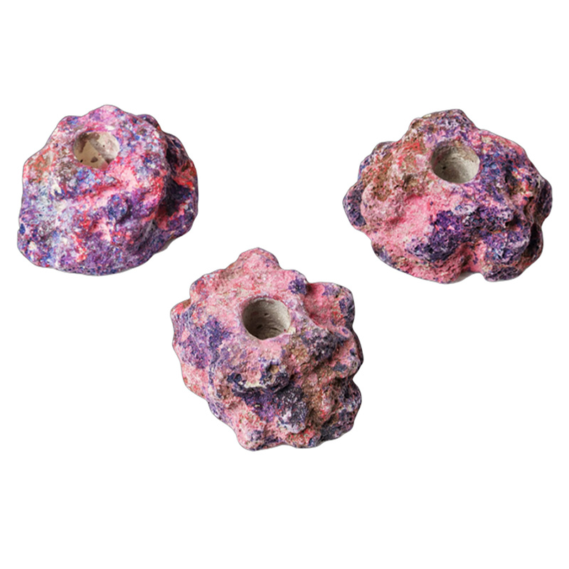 EcoRocks Frag Plug Holder