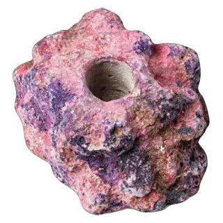 EcoRocks Frag Plug Holder - Image 2