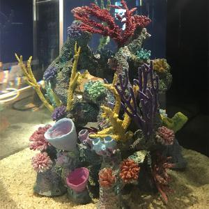 Dauphin Island Sea Lab