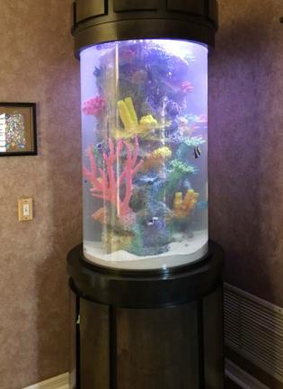 Gallery Commercial & Residential Aquariums | Ocean Aquaria